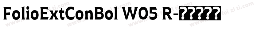 FolioExtConBol W05 R字体转换